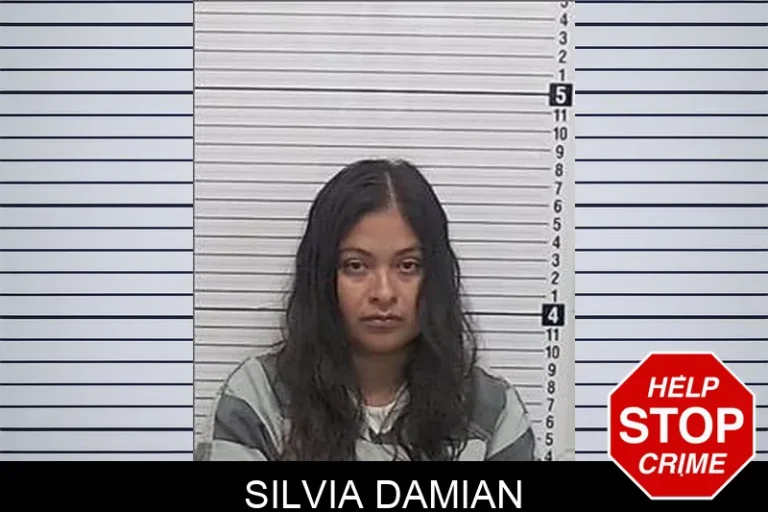 Silvia Damian
