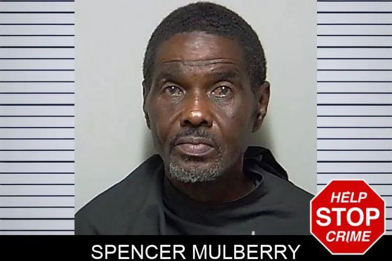 Spencer Mulberry