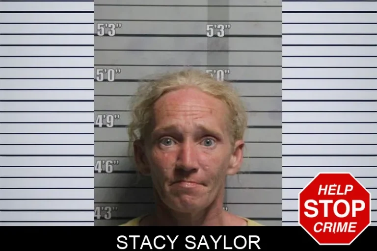 Stacy Saylor