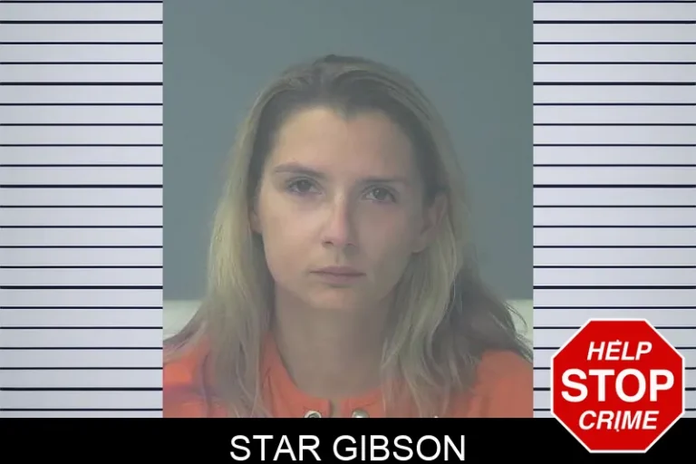 Star Gibson