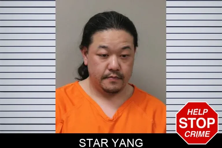 Star Yang