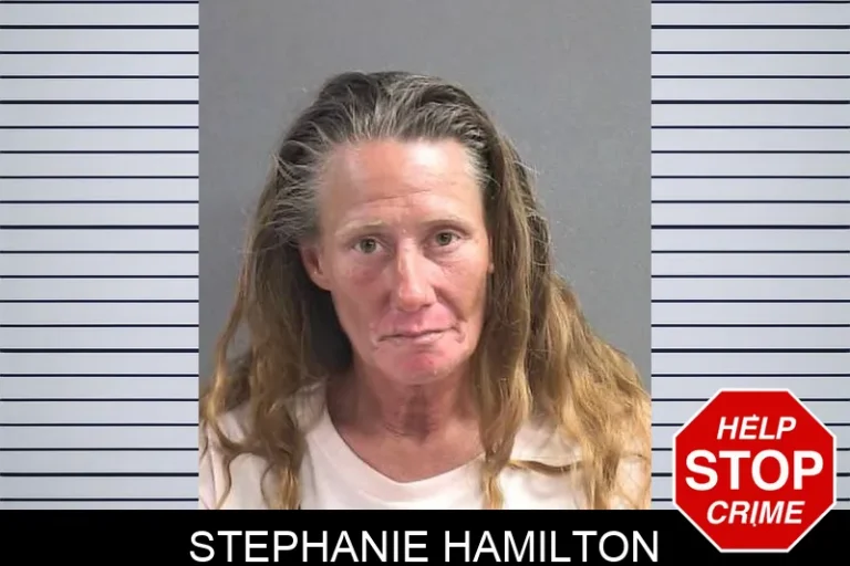 Stephanie Hamilton