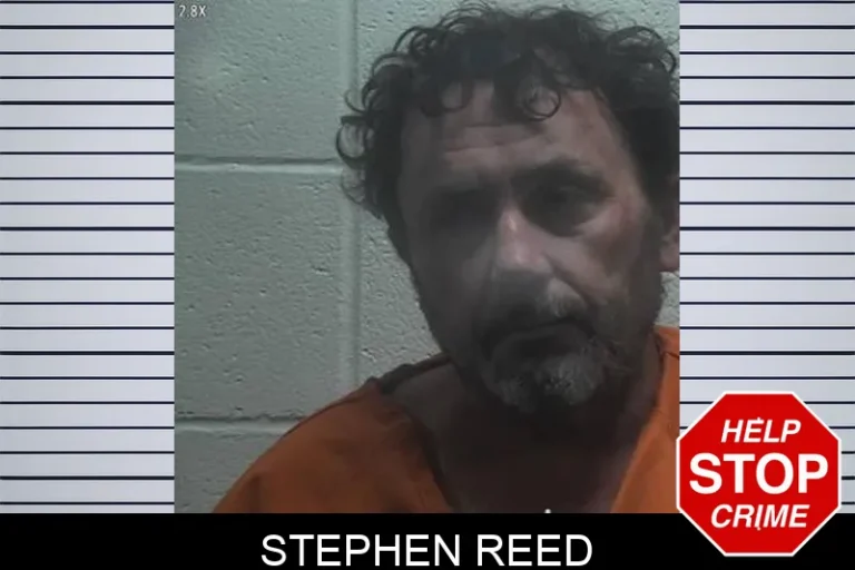 Stephen Reed