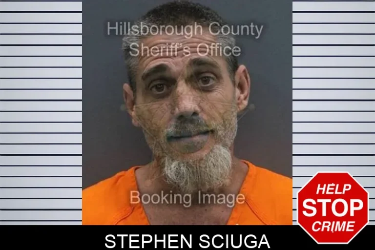 Stephen Sciuga