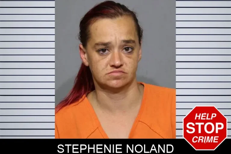Stephenie Noland
