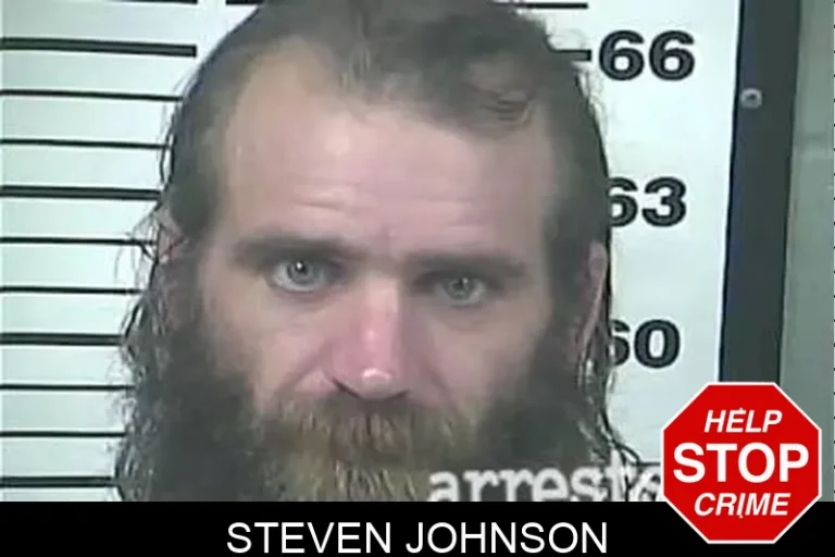 Steven Johnson