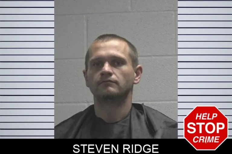 Steven Ridge