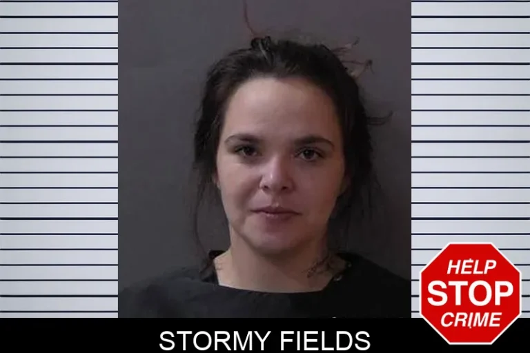 Stormy Fields