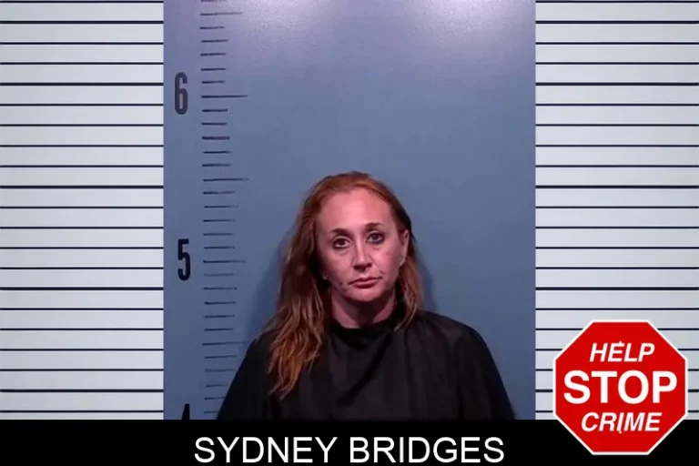 Sydney Bridges