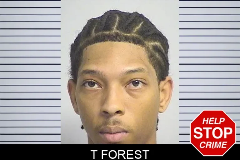 T Forest