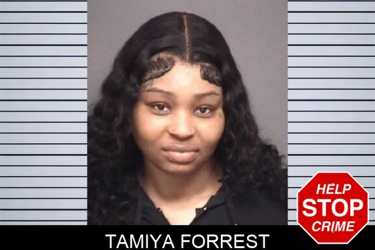 Tamiya Forrest