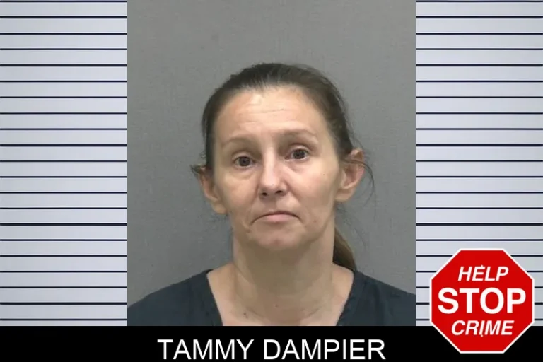 Tammy Dampier