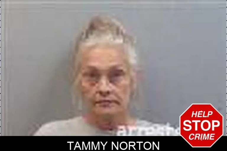 Tammy Norton