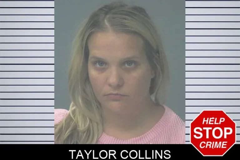 Taylor Collins