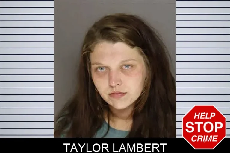 Taylor Lambert