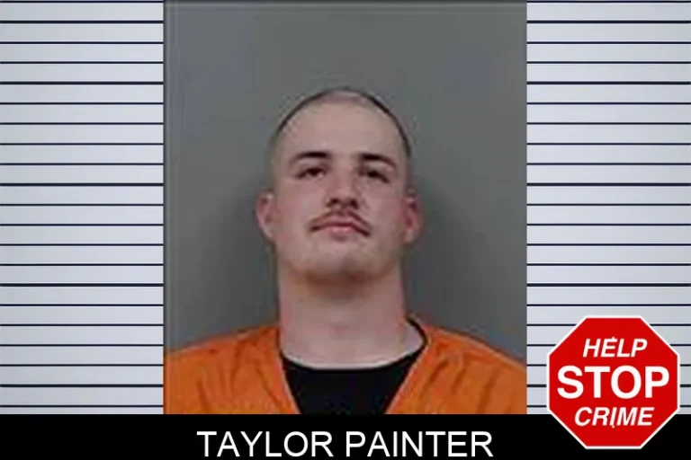 Taylor Painter