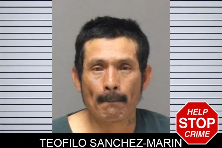Teofilo Sanchez-Marin