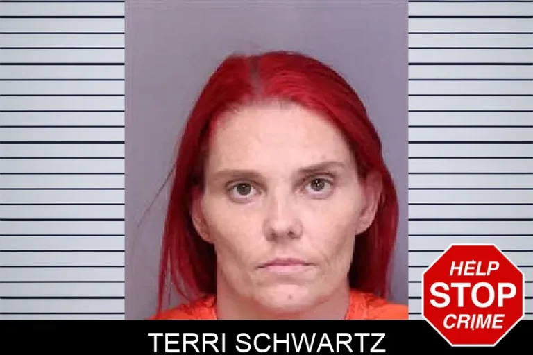 Terri Schwartz