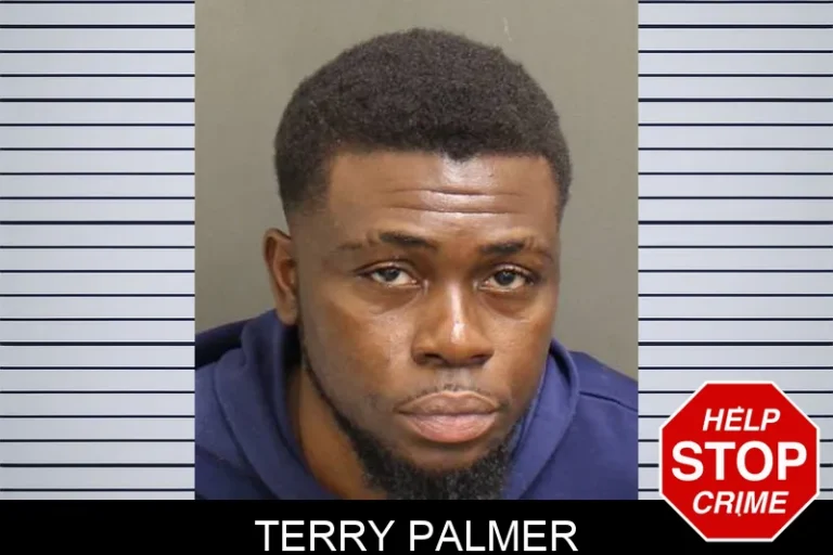 Terry Palmer
