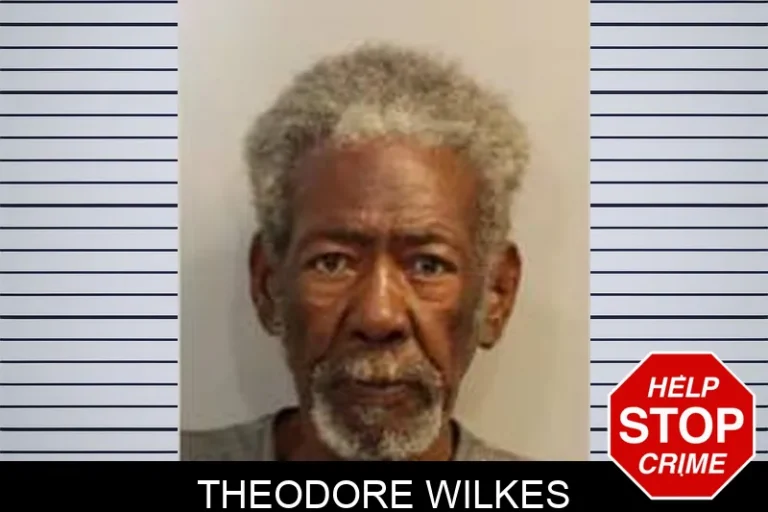 Theodore Wilkes