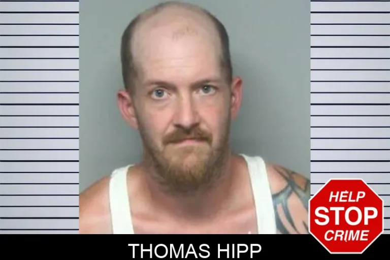 Thomas Hipp