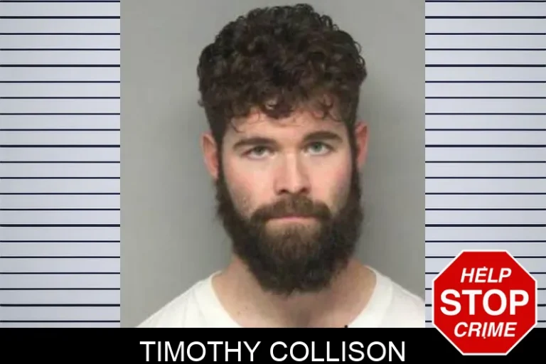 Timothy Collison