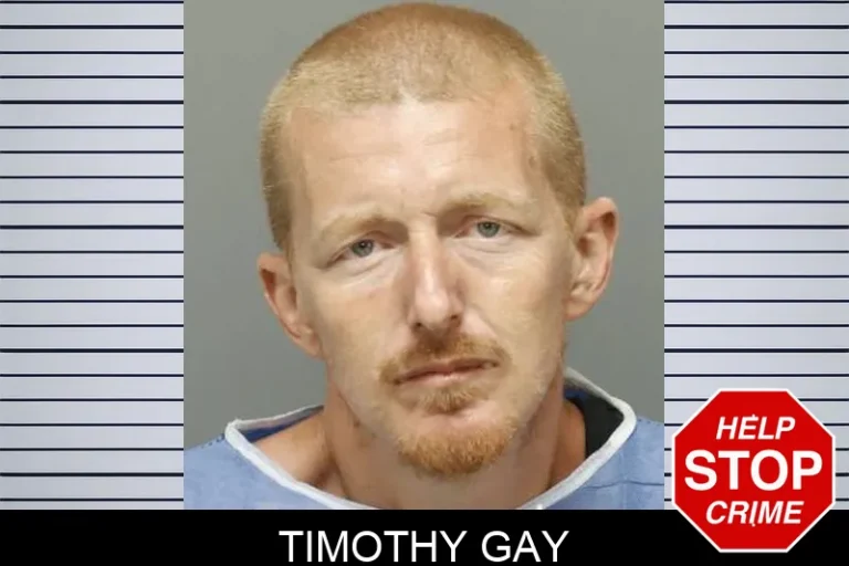 Timothy Gay