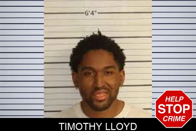 Timothy Lloyd