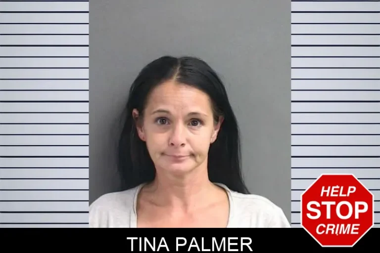 Tina Palmer