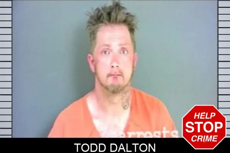 Todd Dalton