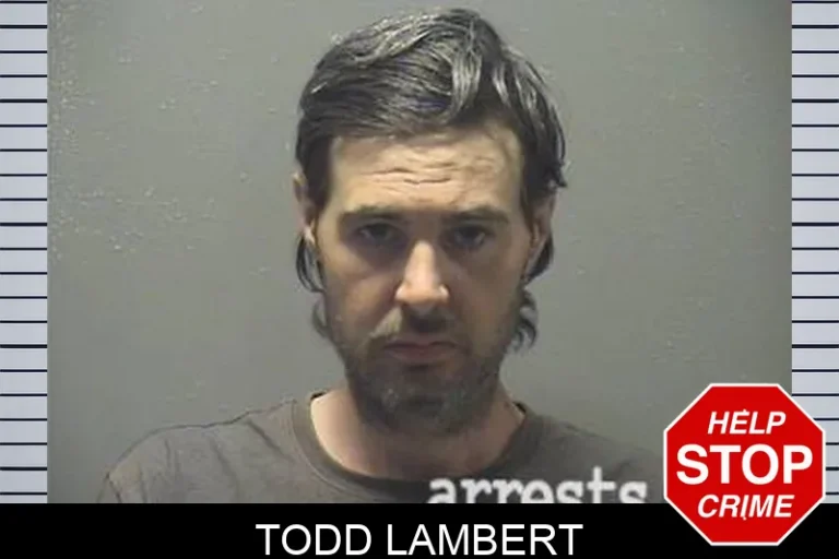 Todd Lambert