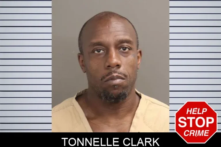 Tonnelle Clark