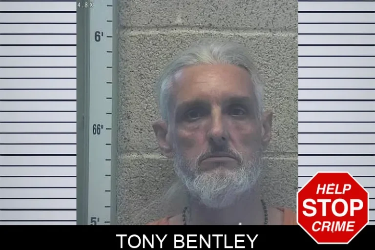 Tony Bentley