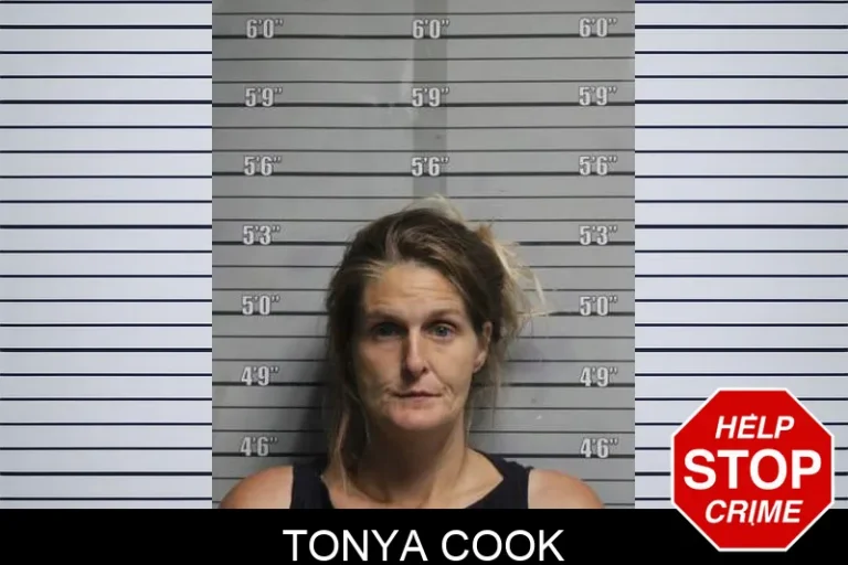 Tonya Cook