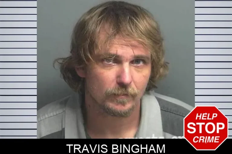Travis Bingham
