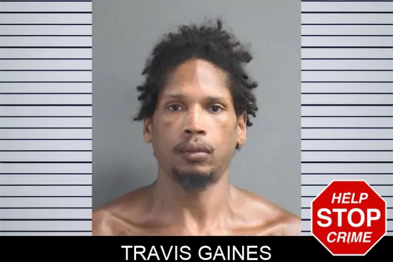 Travis Gaines