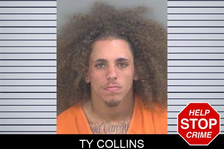 Ty Collins