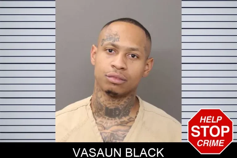 Vasaun Black
