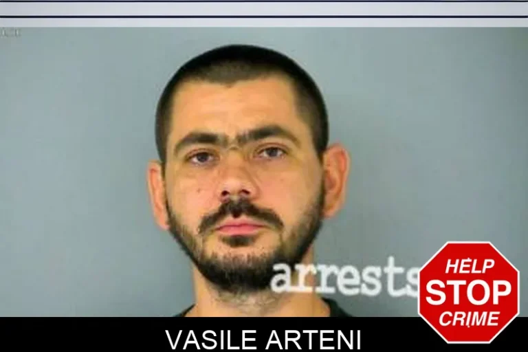 Vasile Arteni