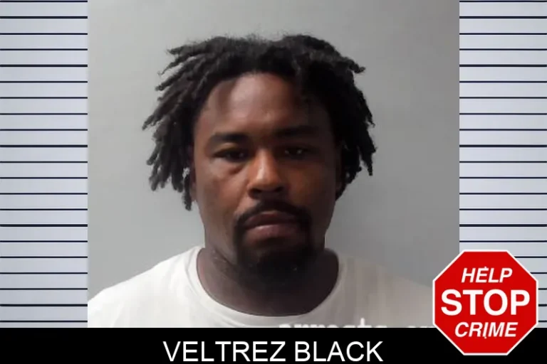 Veltrez Black