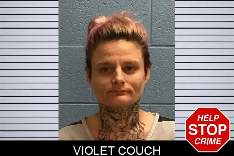 Violet Couch