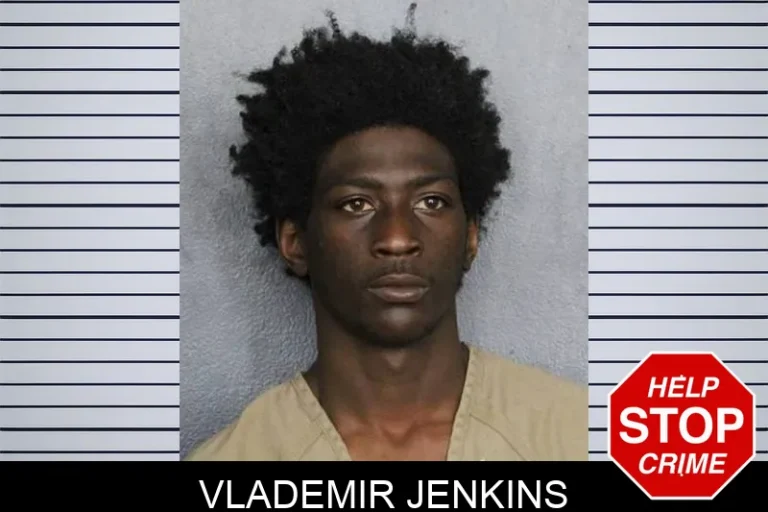 Vlademir Jenkins