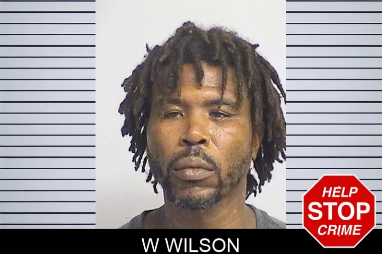 W Wilson