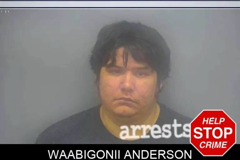 Waabigonii Anderson