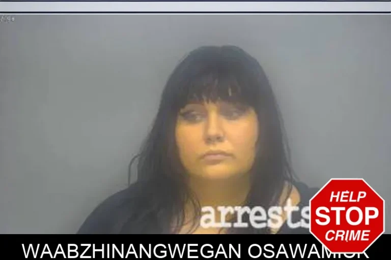 Waabzhinangwegan Osawamick