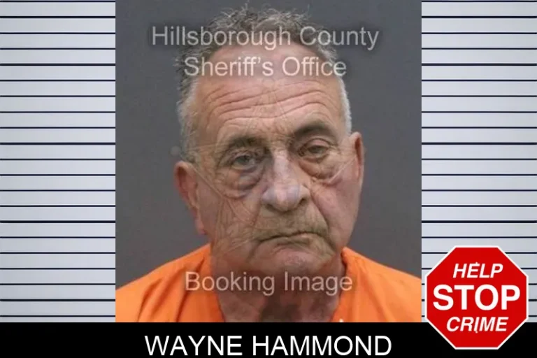 Wayne Hammond