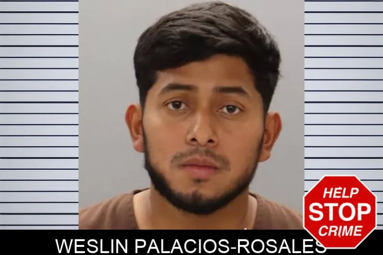 Weslin Palacios-Rosales
