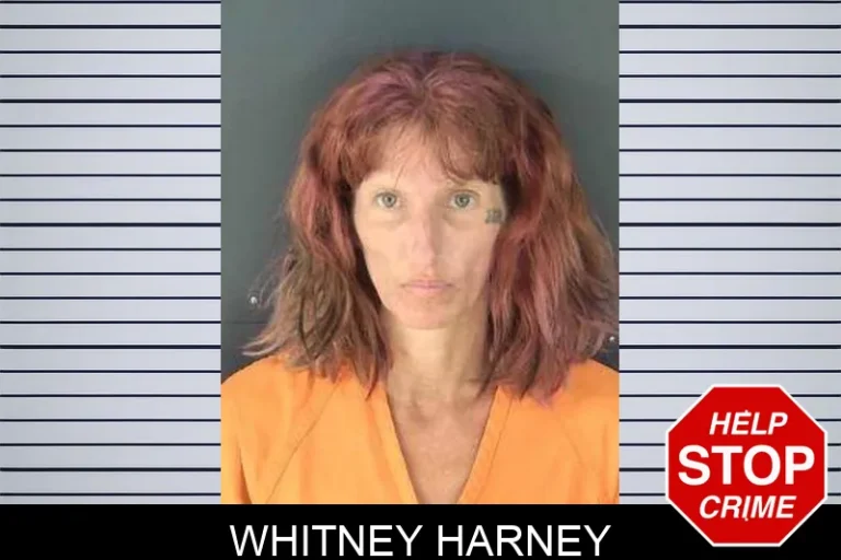 Whitney Harney