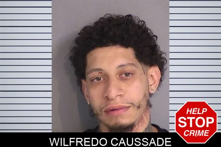 Wilfredo Caussade