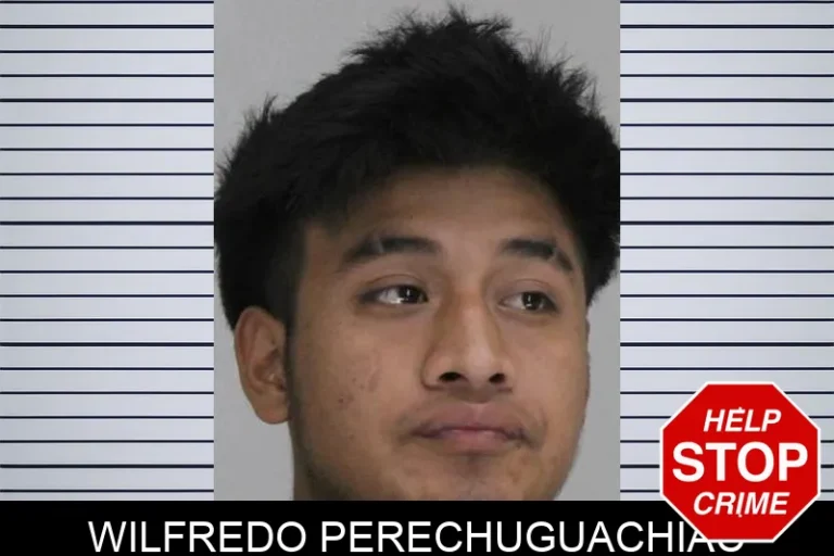 Wilfredo Perechuguachiac
